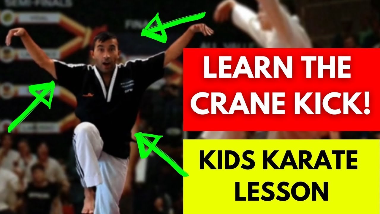 Karate Training for Kids at Home Learn the Crane Kick! Dojo Go
