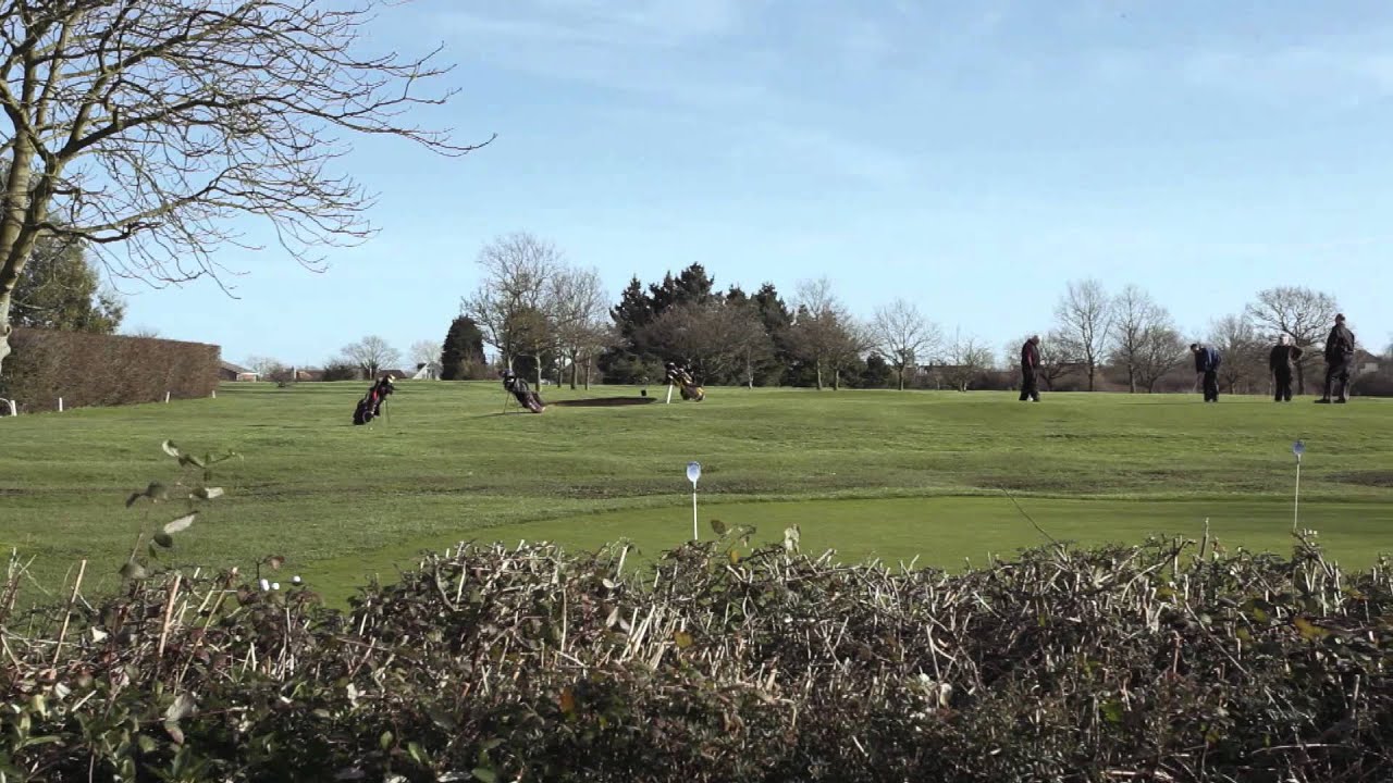 Tankerton Area Guide