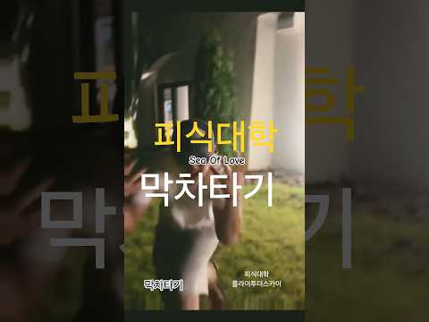 피식대학 챌린지 sea of love #seaoflove #피식대학 #플라이투더스카이 #씨오브러브 #씨오브럽 #flytothesky #환희 #브라이언 #챌린지 #challenge
