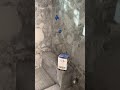#bathroomdesign #construction #homerenovation #homedecor