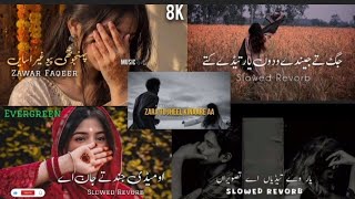 💔 Nonstop Siraiki Sindhi Song |Evargreen | Best Siraiki Song 2026 🎧 screenshot 1