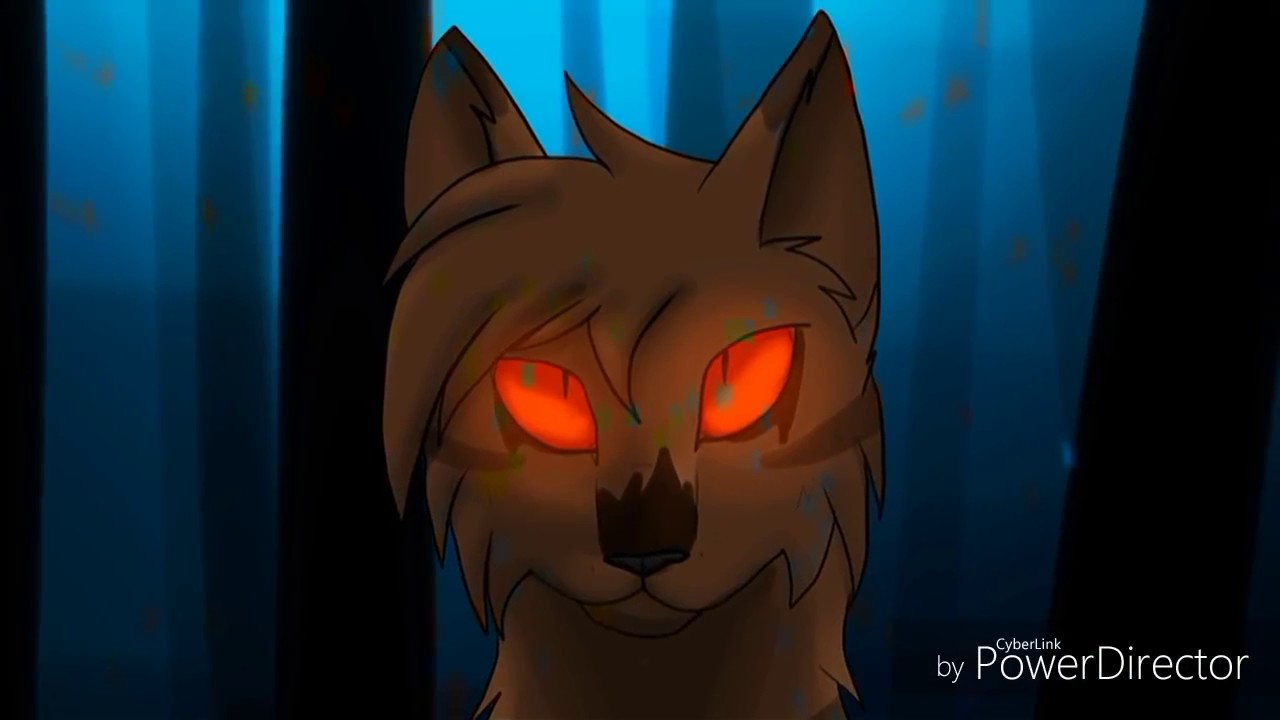 Коты воители звездолом картинки