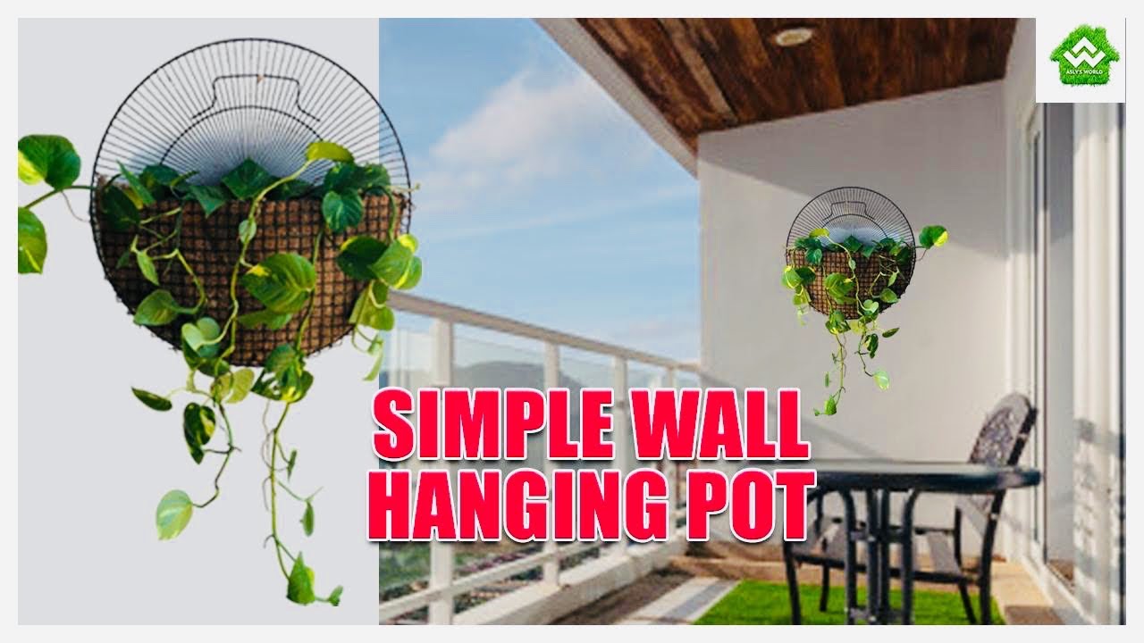 Easy wall hanging pot|indoor plant pot|hanging money plant| Garden ideas|Garden setting ideas