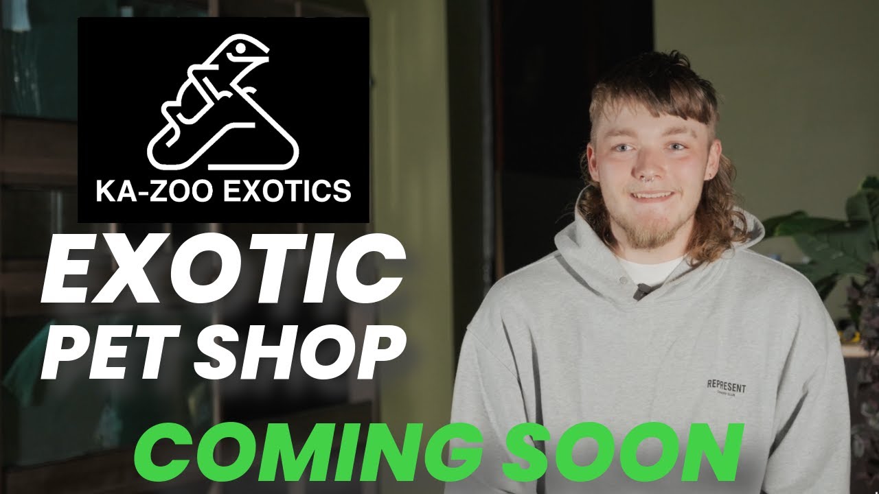 KA-ZOO EXOTICS - Pet Shop Eastbourne - Coming Soon