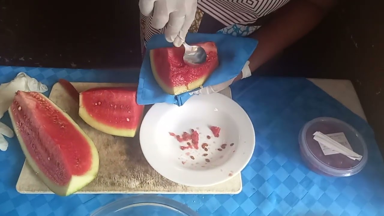 melon frappe (whole melon).