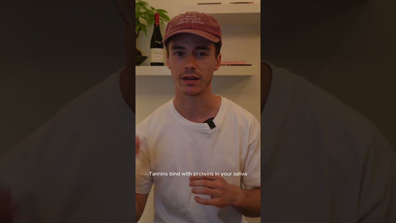 ✨ Tannins are the secret behind red wine’s texture