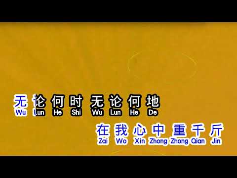 张明敏  《 我的中国心 》  wo de zhong guo xin