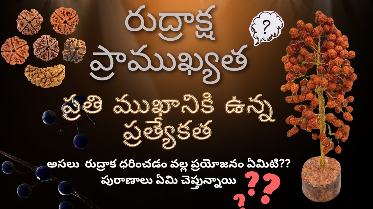 What is the purpose of wearing rudrakshamala||రుద్రాక్ష మాలఎందుకు ధరిస్తారు?#telugu #sanatan