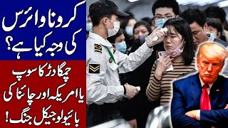 Story and Facts About Corona Virus of China. Hindi & Urdu