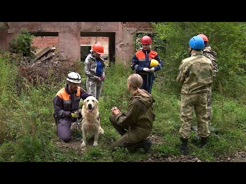 «Рота, подъём!» - Собаки – спасатели МЧС России. ОТВ-Приморье