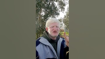 إنما تعبدون من دون الله أوثانا بصوت #القارئ_عامر_جبو #عامر_جبو