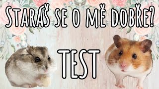 Test jak se staráš o svého křečka🐹