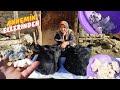 ALTI AYIN ARDINDAN KEÇİ DERİSİNDEN ÇIKTI DERİ KEŞİ (KÜFLÜ PEYNİR) SOFRALARIN VAZGEÇİLMEZİ