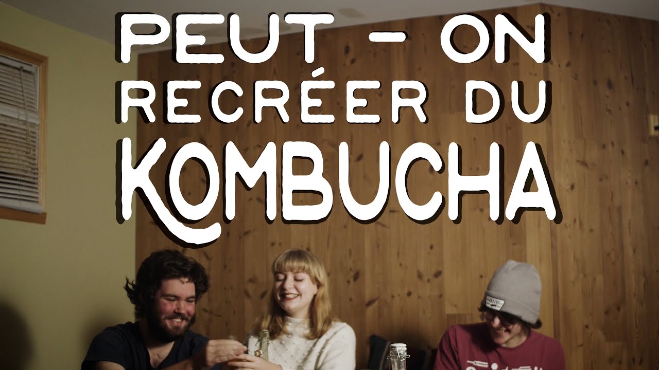 Peut-on recréer du Kombucha?