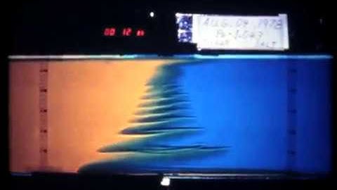 Video 9  - Double diffusive lateral  intrusions