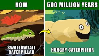 Giant Hungry Caterpillar Speculative Evolution How Caterpillar May Evolve Neoteny U0026 Extreme Length