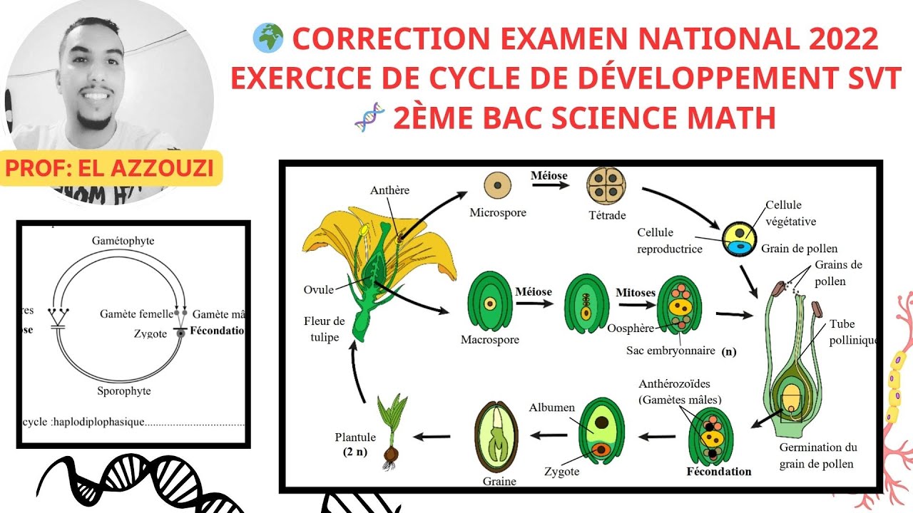 Correction Examen National 2022 🌍 Exercice de cycle développement 2ème Bac Science Math🧬exercice top