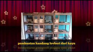 Pembuatan kandang lovebird Pok-Pokan dari kayu