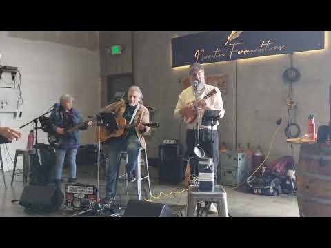 The DT's at Narrative Fermentations in San Jose, California 3/16/25