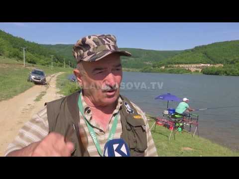 Video: Përralla Peshkimi. Kolegë