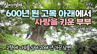 (살어리랏다) (262회) 익산 600년 고목 아래서 어릴적부터 사랑 키운 부부, 이젠 정원사 부부이지요~ koreatv, Arboretum, forest, wood (전북 익산)