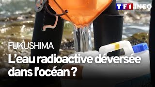 Rejet des eaux contaminées de Fukushima : le Japon sous un flot de critiques