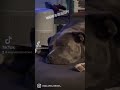 A full day of doing nothing