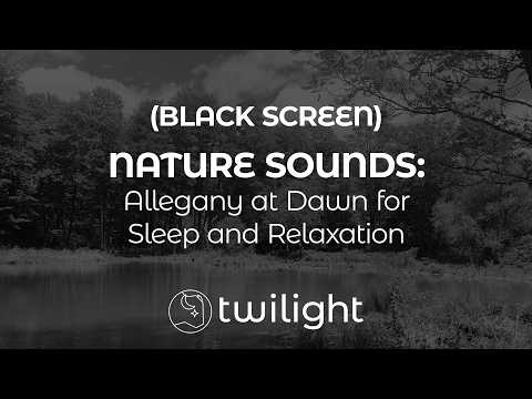 ALLEGANY | BLACK SCREEN | Sleep and Relaxation | Nature Sounds