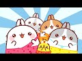 Molang ✨ ZUM TIERHEIM ✨ Folge 2 ✨ Lustige Cartoons für Kinder