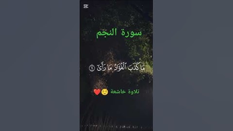 سورة النجم - تلاوة خاشعة 😌 - القرآن الكريم 🤍🤍🤍