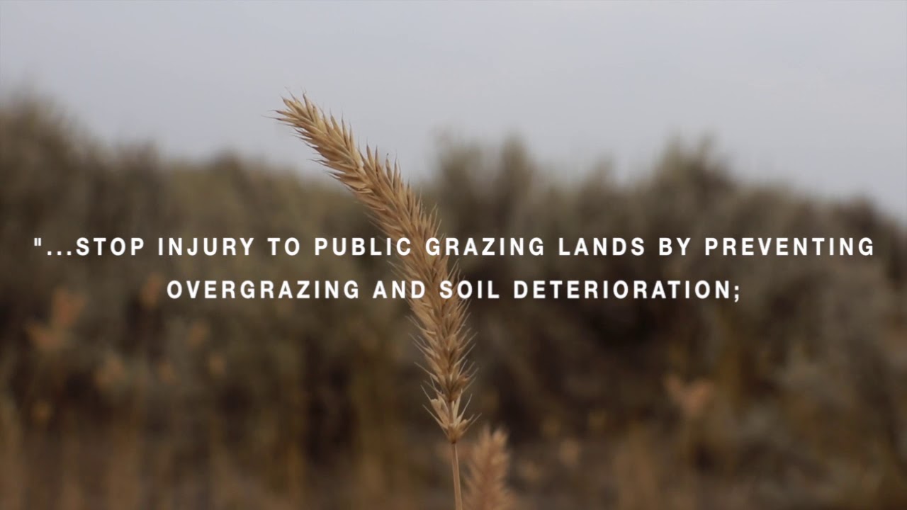 History of Grazing