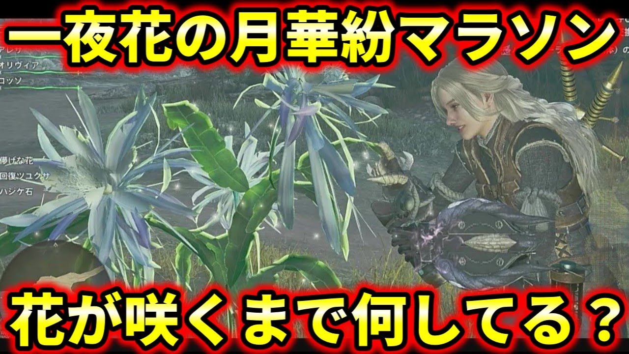 モンハンワイルズ】一夜花の月華粉マラソンで儚げな花が咲くまでの 