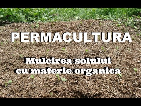 Video: Pregătirea Mulciului Organic