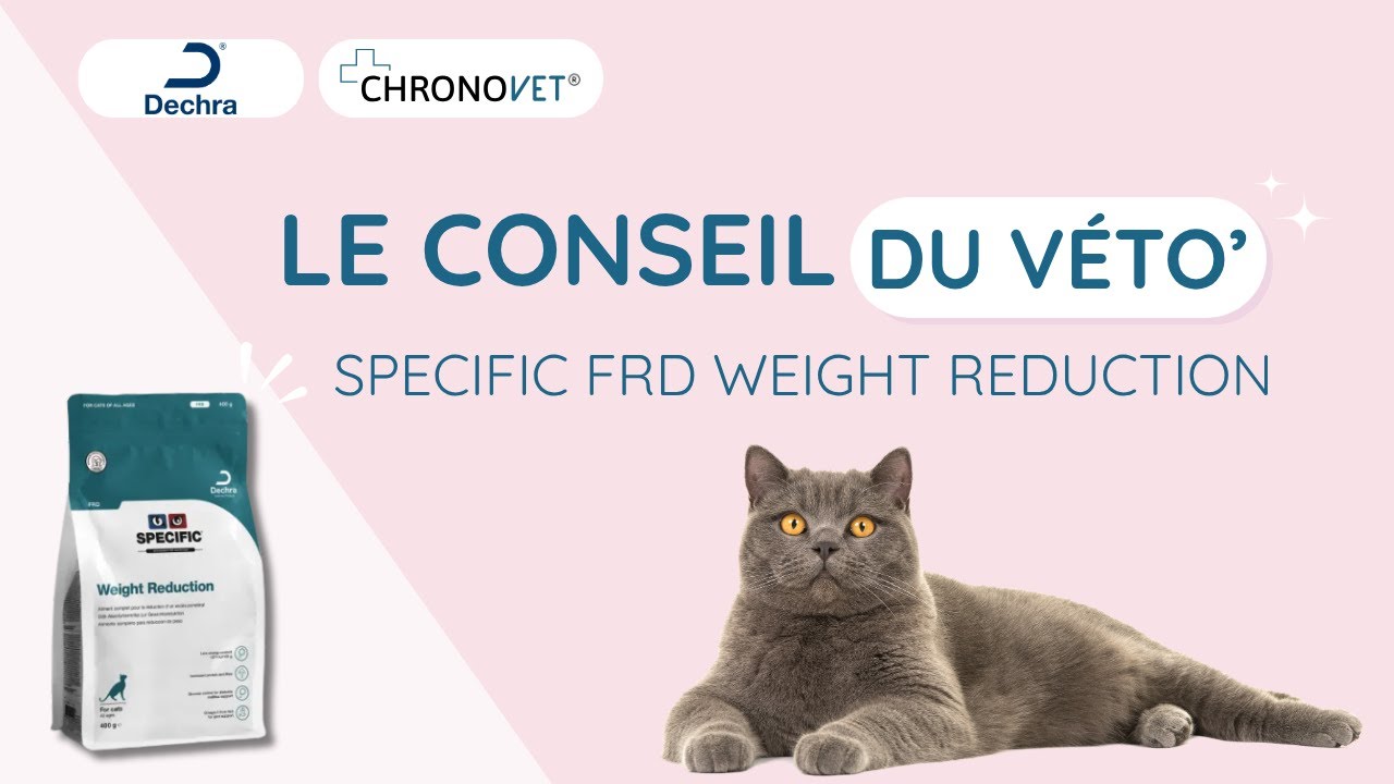 Specific FRD : réduction de poids du chat – satiété & perte durable | Conseils vétérinaires