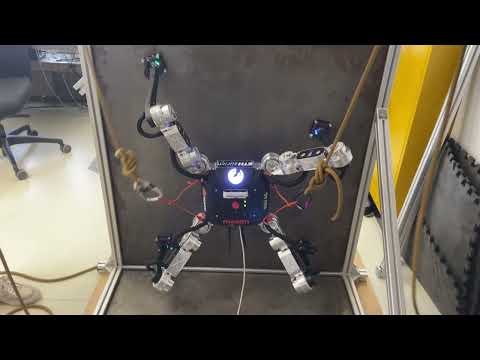 magnecko - legged robot climbing on walls and ceiling