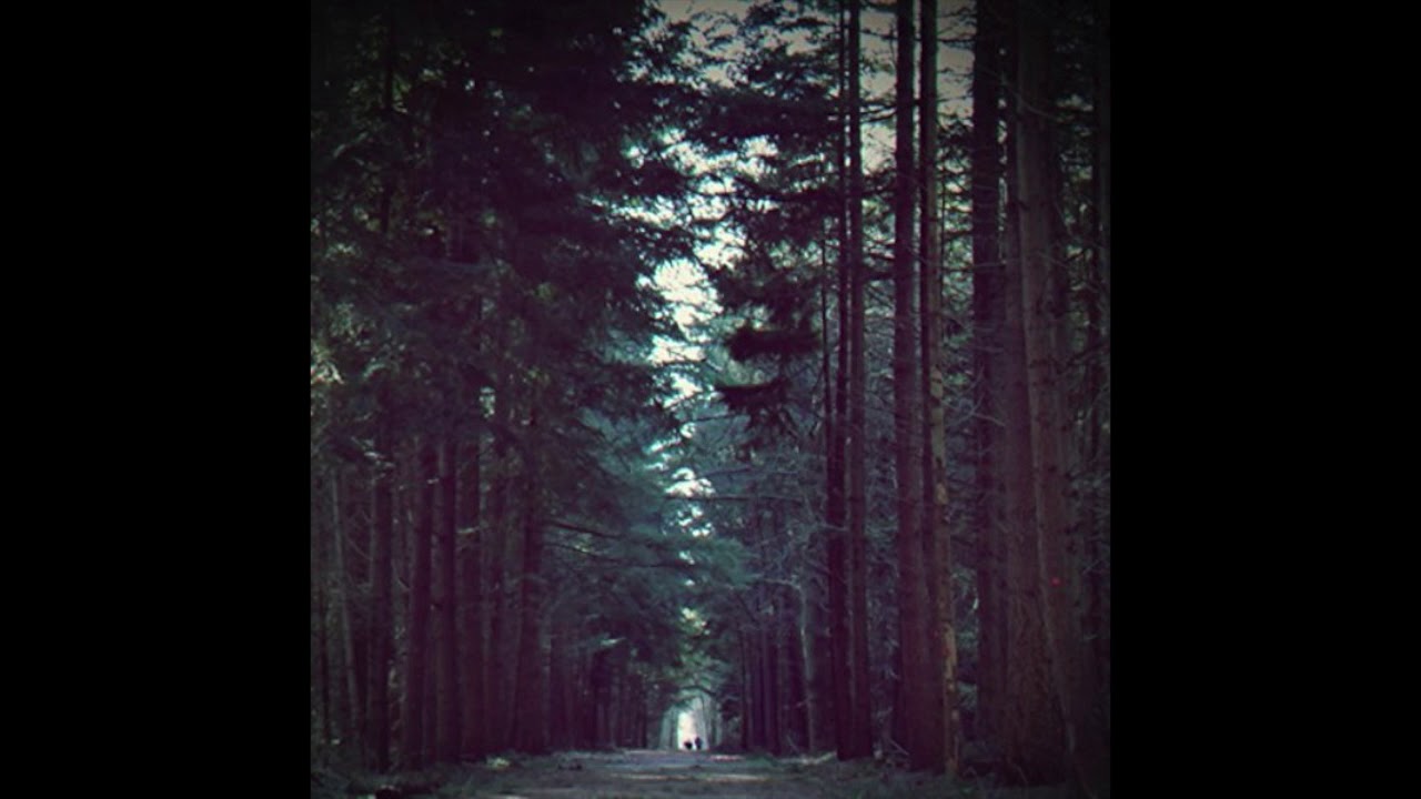 Dallus - T.F.T.W (Official Audio)