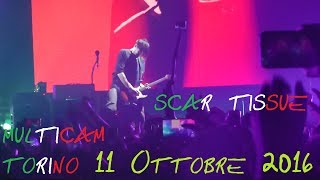 Red Hot Chili Peppers - Scar Tissue (Live in Torino MULTICAM)