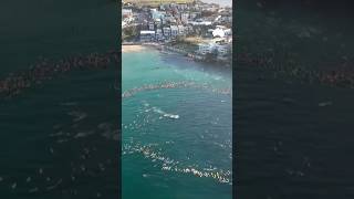 Breathtaking tribute to victims in Bondi paddle-out