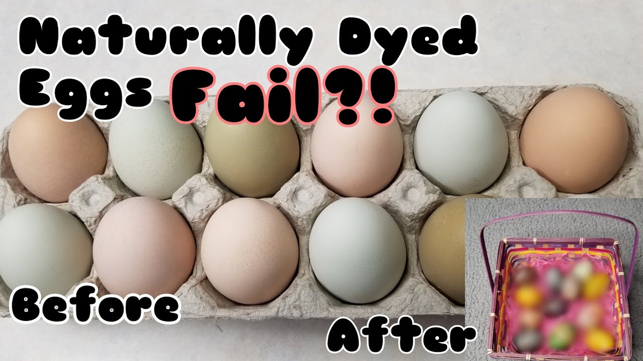 ASMR Easter Egg Decorating Hacks From Pinterest YouTube