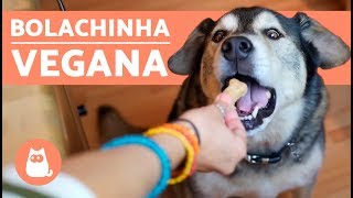 biscoito para cachorros fácil com 3 ingredientes veganos