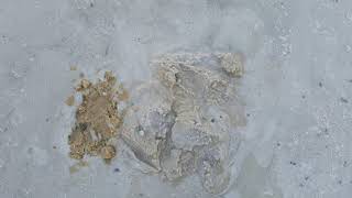 The Difference Between Input And Output Materials In Bioleaching Operation