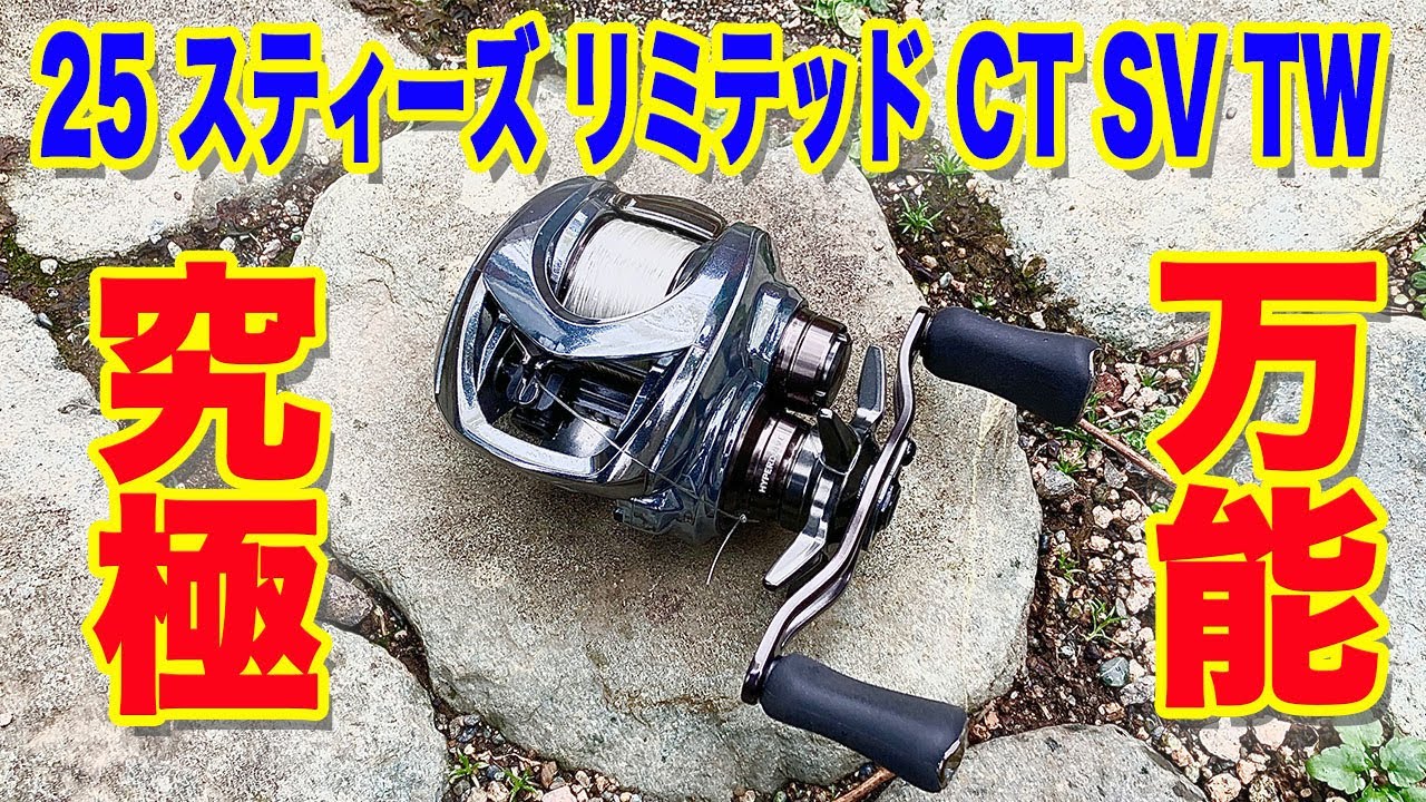究極のバーサタイル...【25 スティーズ リミテッド CT SV TW】