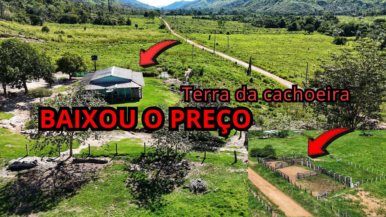 BAIXOU O PREÇO DA TERRA DA CACHOEIRA.  33 ALQUEIRES, (GOIANO) 35 KM DE SÃO FÉLIX DO XINGU PARÁ