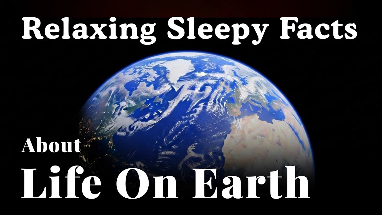 The Most Relaxing Facts About Life on Planet Earth to Fall Asleep To
