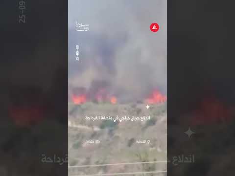 حريق حراجي في القرداحة