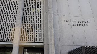 Celebrity 'Stealth' Scott Peterson juror will seek immunity, court documents reveal Wealth