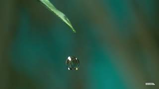 Islamic Status Song screenshot 4