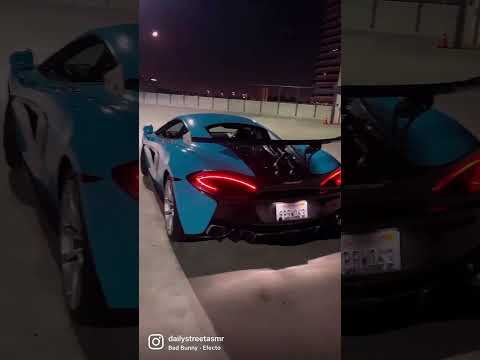Christmas cruise in