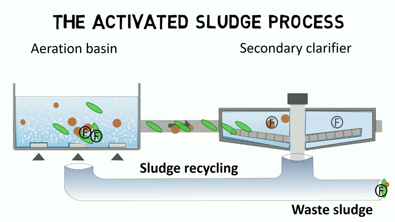 Beschrijven worm Op de kop van Activated sludge process and IFAS - Design rules + guideline - YouTube