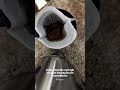 ☕️ Todo conselho carrega em si as limitações do conselheiro 🧠